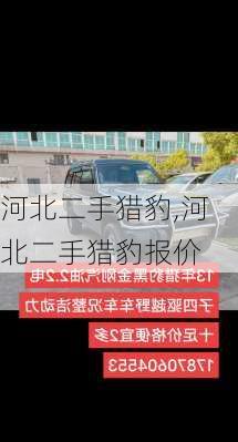 河北二手猎豹,河北二手猎豹报价