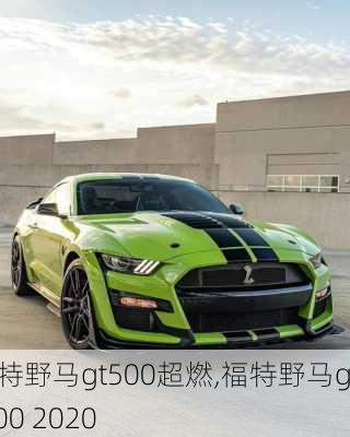 福特野马gt500超燃,福特野马gt500 2020