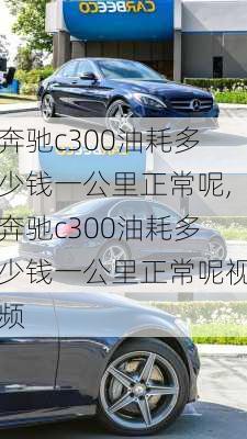 奔驰c300油耗多少钱一公里正常呢,奔驰c300油耗多少钱一公里正常呢视频