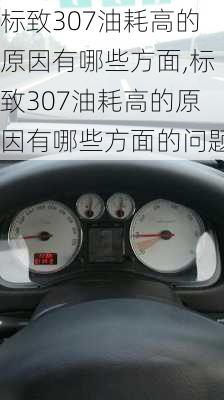 标致307油耗高的原因有哪些方面,标致307油耗高的原因有哪些方面的问题