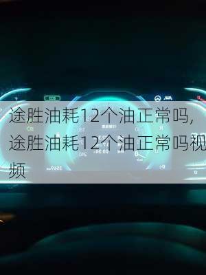 途胜油耗12个油正常吗,途胜油耗12个油正常吗视频