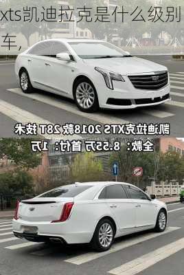 xts凯迪拉克是什么级别车,