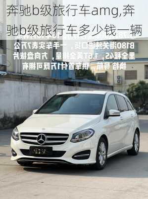 奔驰b级旅行车amg,奔驰b级旅行车多少钱一辆