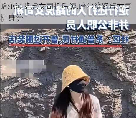 哈尔滨路虎女司机后续,哈尔滨路虎女司机身份