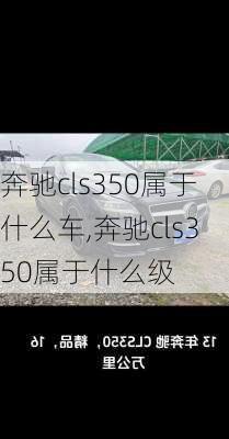 奔驰cls350属于什么车,奔驰cls350属于什么级