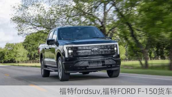 福特fordsuv,福特FORD F-150货车