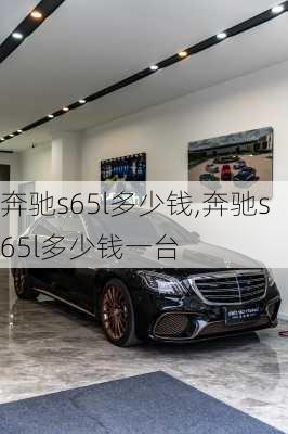 奔驰s65l多少钱,奔驰s65l多少钱一台