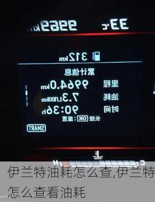 伊兰特油耗怎么查,伊兰特怎么查看油耗